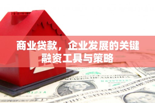 迭部商业贷款，企业发展的关键融资工具与策略