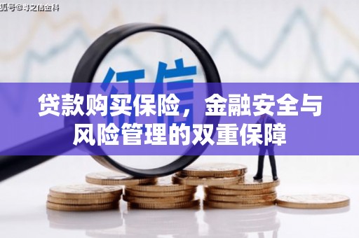 迭部贷款购买保险，金融安全与风险管理的双重保障