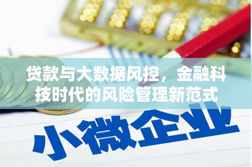 迭部贷款与大数据风控，金融科技时代的风险管理新范式