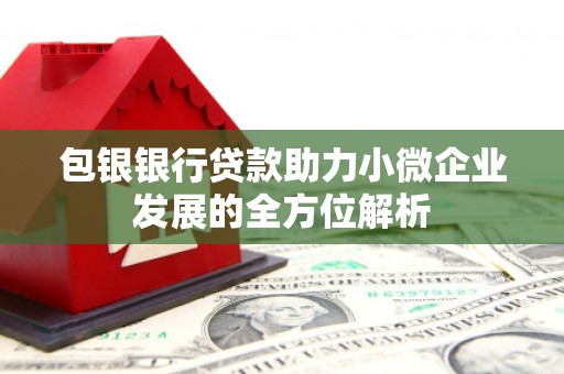 迭部包银银行贷款助力小微企业发展的全方位解析