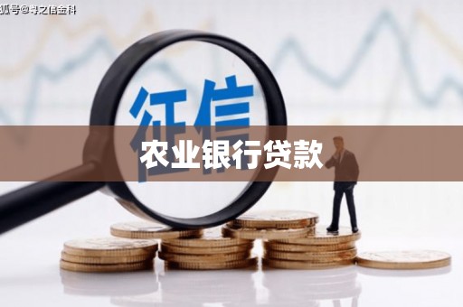 迭部农业银行贷款