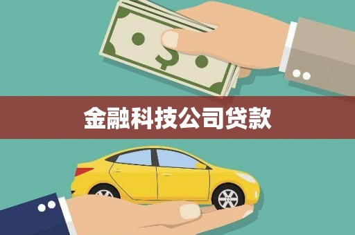 迭部金融科技公司贷款