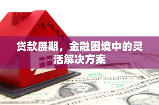 迭部贷款展期，金融困境中的灵活解决方案