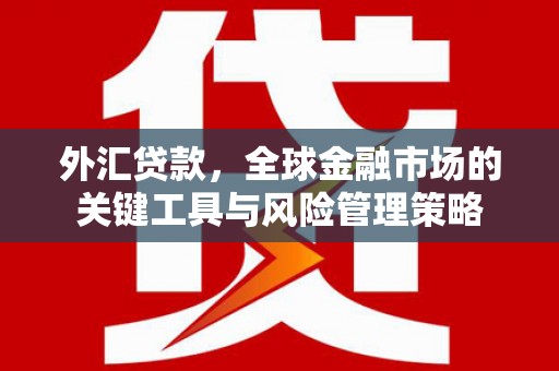 迭部外汇贷款，全球金融市场的关键工具与风险管理策略