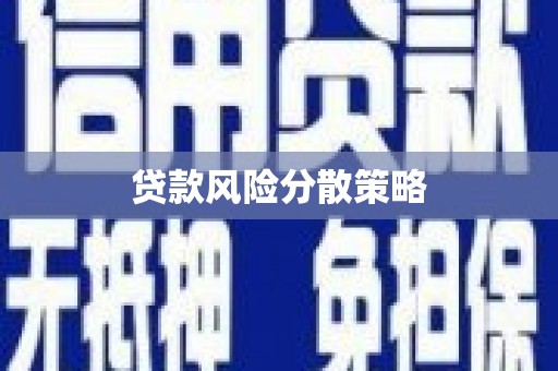 迭部贷款风险分散策略