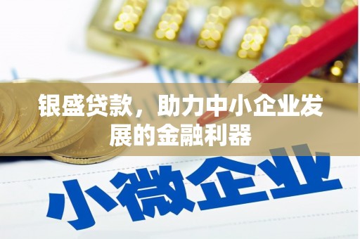 迭部银盛贷款，助力中小企业发展的金融利器
