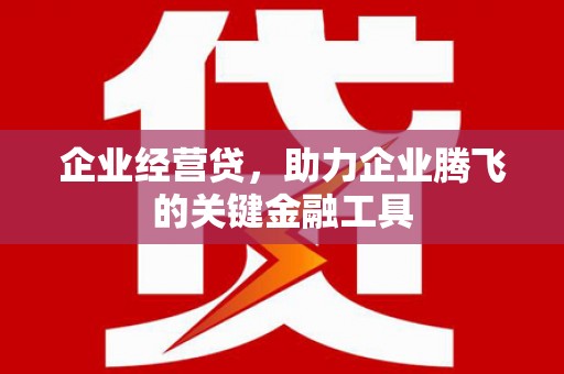 迭部企业经营贷，助力企业腾飞的关键金融工具