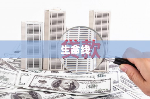 迭部生命线