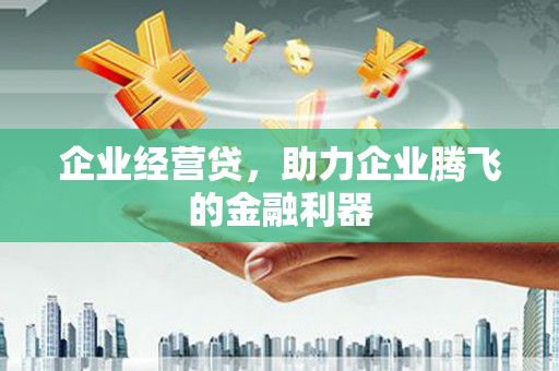 迭部企业经营贷，助力企业腾飞的金融利器