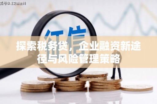迭部探索税务贷，企业融资新途径与风险管理策略