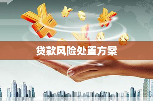 迭部贷款风险处置方案
