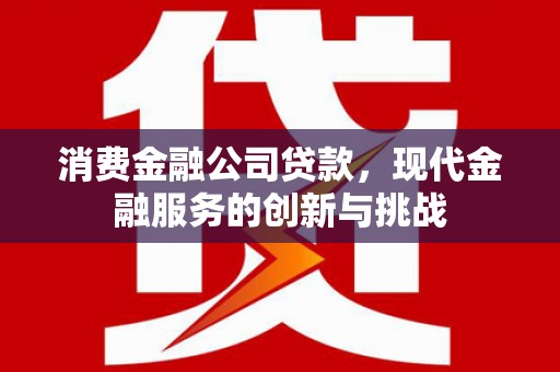 迭部消费金融公司贷款，现代金融服务的创新与挑战
