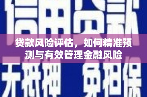 迭部贷款风险评估，如何精准预测与有效管理金融风险