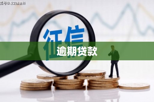 迭部逾期贷款