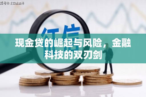迭部现金贷的崛起与风险，金融科技的双刃剑