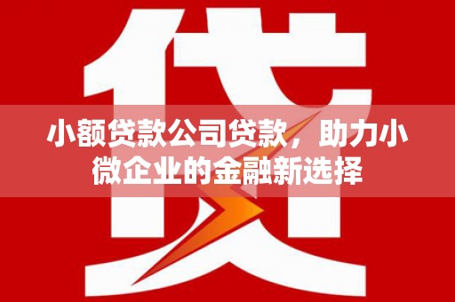 迭部小额贷款公司贷款，助力小微企业的金融新选择