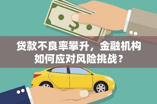 迭部贷款不良率攀升，金融机构如何应对风险挑战？