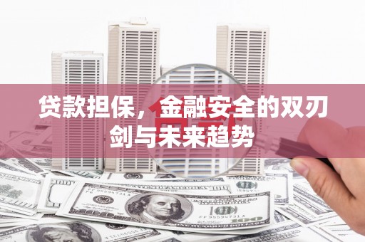 迭部贷款担保，金融安全的双刃剑与未来趋势