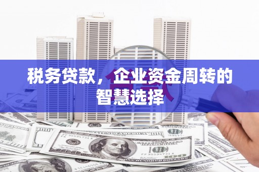迭部税务贷款，企业资金周转的智慧选择