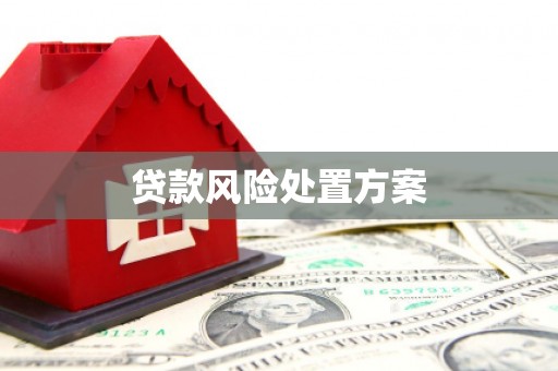 迭部贷款风险处置方案