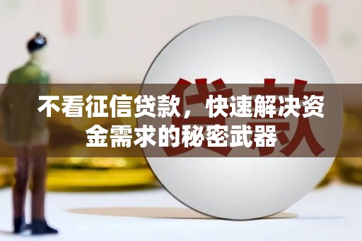迭部不看征信贷款，快速解决资金需求的秘密武器