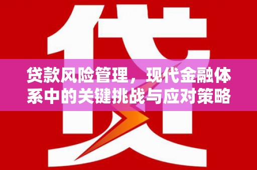 迭部贷款风险管理，现代金融体系中的关键挑战与应对策略