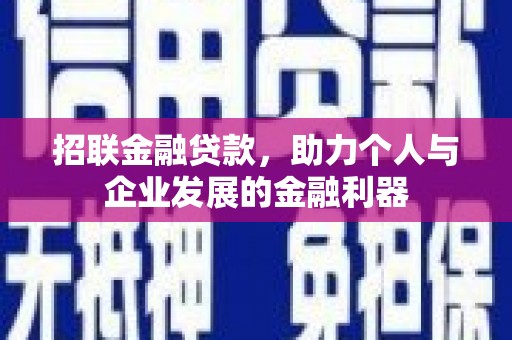 迭部招联金融贷款，助力个人与企业发展的金融利器