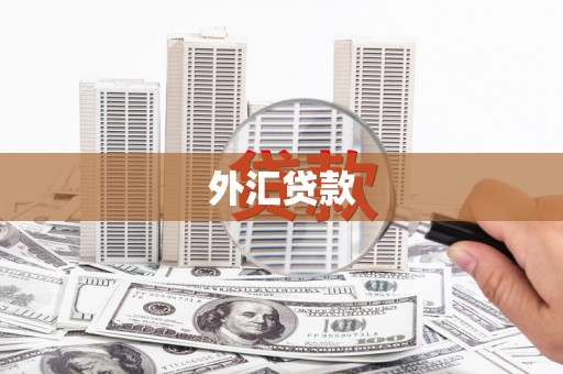 迭部外汇贷款