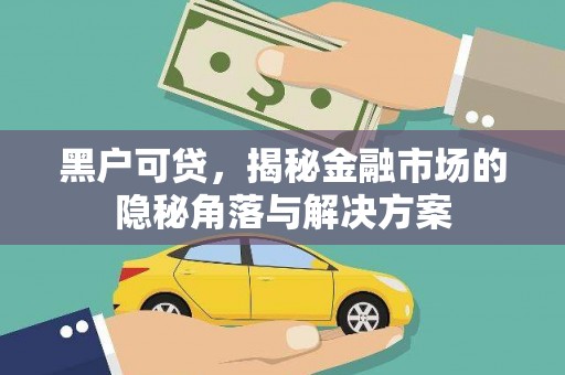 迭部黑户可贷，揭秘金融市场的隐秘角落与解决方案