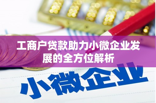迭部工商户贷款助力小微企业发展的全方位解析