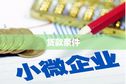 迭部贷款条件