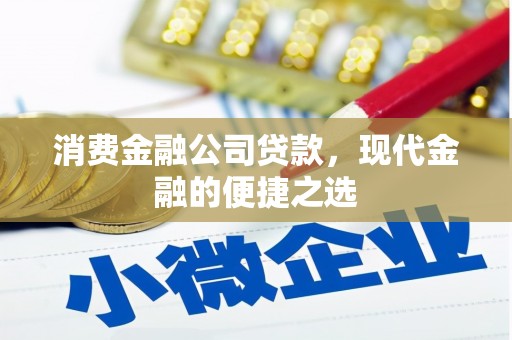 迭部消费金融公司贷款，现代金融的便捷之选