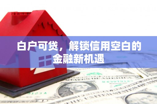 迭部白户可贷，解锁信用空白的金融新机遇