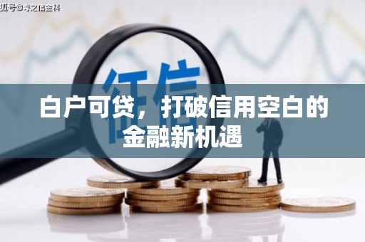 迭部白户可贷，打破信用空白的金融新机遇
