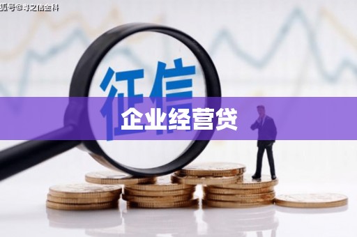 迭部企业经营贷