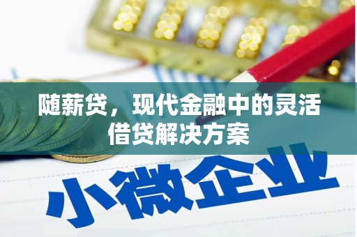 迭部随薪贷，现代金融中的灵活借贷解决方案