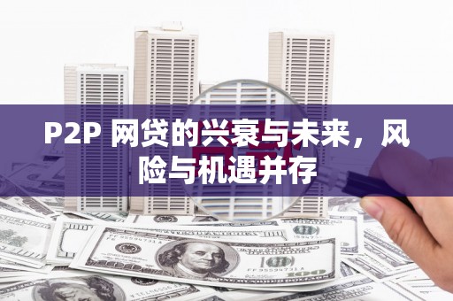 迭部P2P 网贷的兴衰与未来，风险与机遇并存