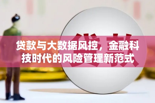 迭部贷款与大数据风控，金融科技时代的风险管理新范式
