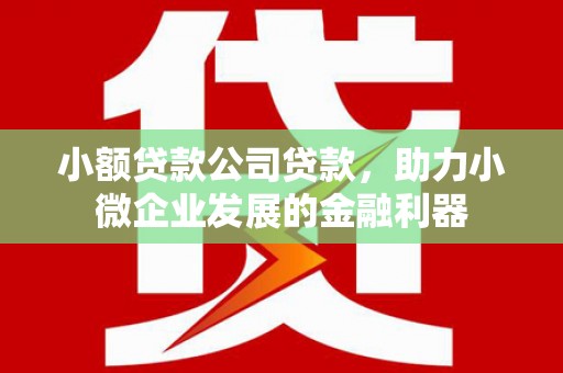 迭部小额贷款公司贷款，助力小微企业发展的金融利器