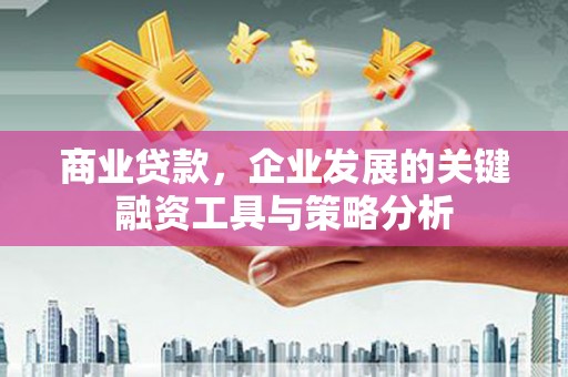 迭部商业贷款，企业发展的关键融资工具与策略分析
