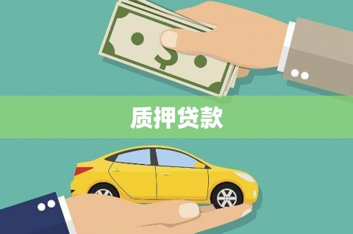 迭部质押贷款