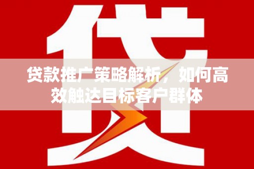 迭部贷款推广策略解析，如何高效触达目标客户群体