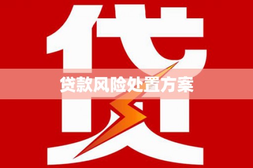 迭部贷款风险处置方案
