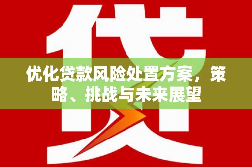 迭部优化贷款风险处置方案，策略、挑战与未来展望