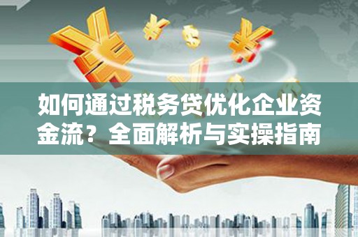 迭部如何通过税务贷优化企业资金流？全面解析与实操指南