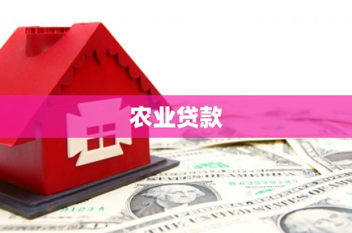迭部农业贷款
