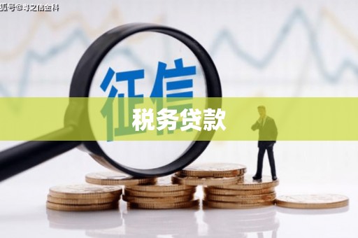 迭部税务贷款