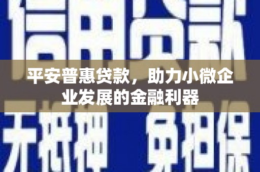 迭部平安普惠贷款，助力小微企业发展的金融利器