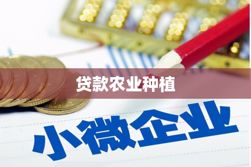 迭部贷款农业种植
