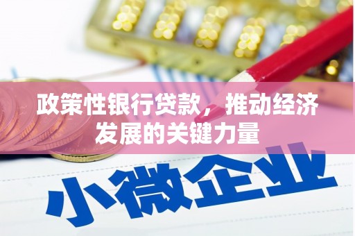 迭部政策性银行贷款，推动经济发展的关键力量